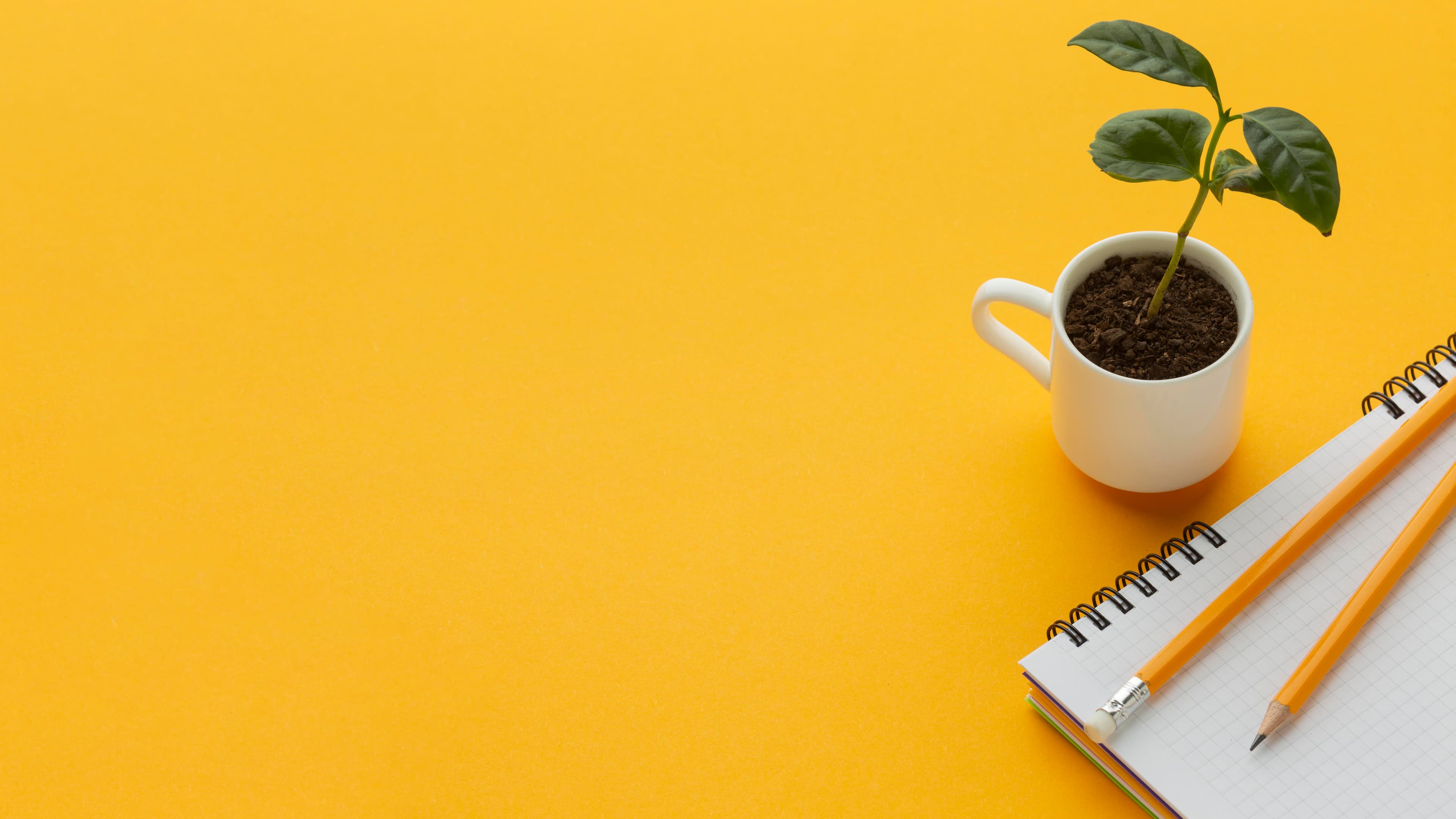 High Angle Plant Notebook Frame